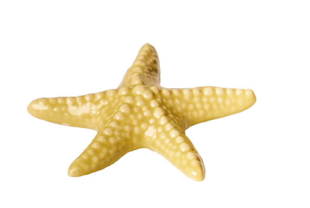 Stella Marina Ceramica Variante Bianca E Beige Cm 6 X 6 Stile Nordico (D0283)