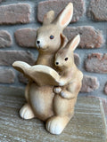 Coppia coniglietti con libro in poliresina cm 10x10x21 Stile Nordico ( CK943)