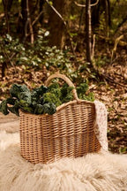 Cestino oblungo con manico trasversale, lati larghi intrecciati a punta salice pieno 35x23 h26 (29044-00)