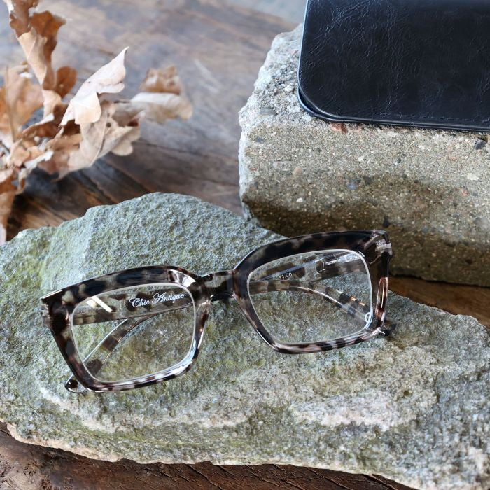 Occhiali da lettura con motivo leopardato inclusa custodia Policarbonato, acrilico Chic Antique (16113325)