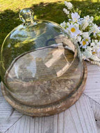Piatto in legno mango con cupola vetro diam. cm 30 H25 Chic Antique (61093300)